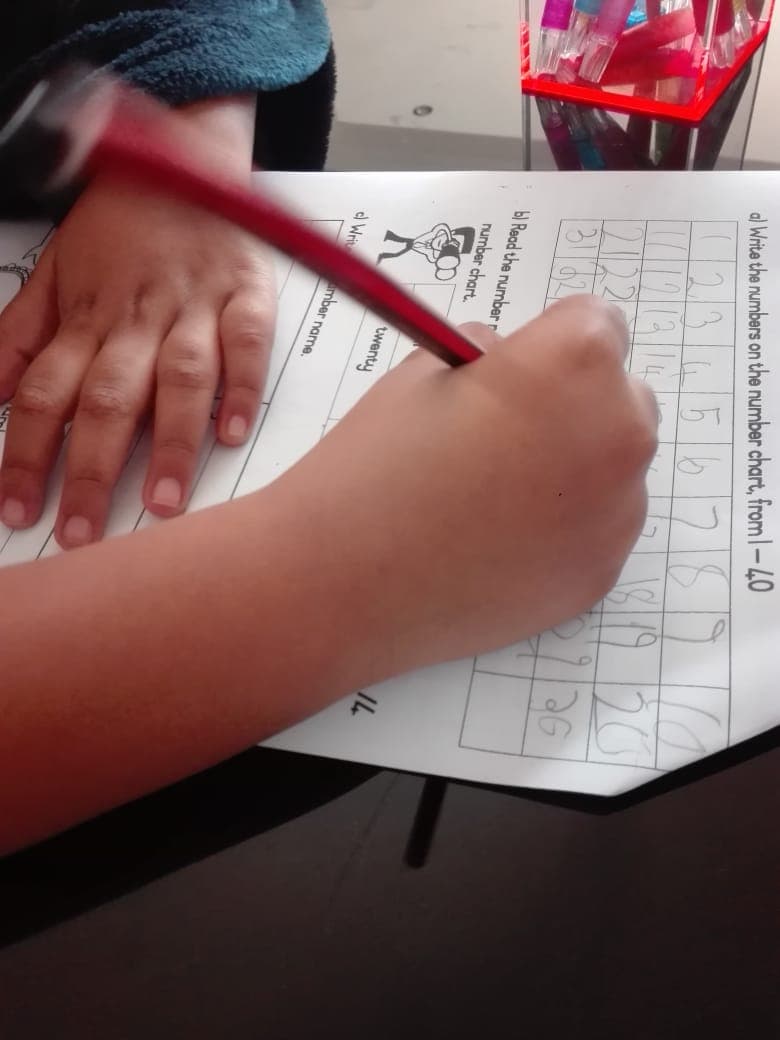 Good & healthy learning habits